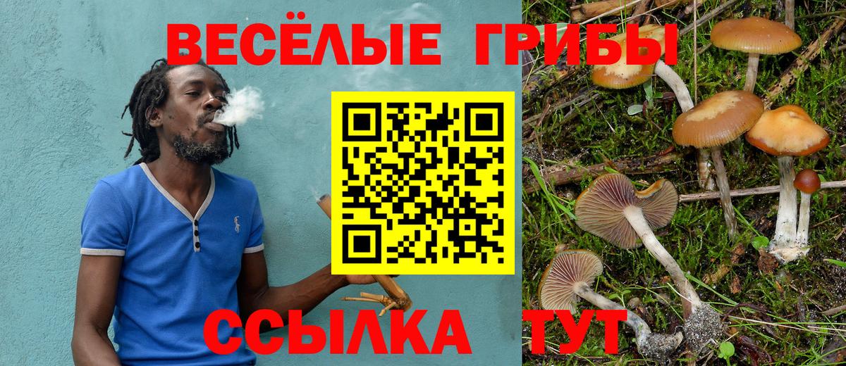 Грозный  Псилоцибиновые грибы Magic Shrooms  купить наркоту  Вход с VPN 