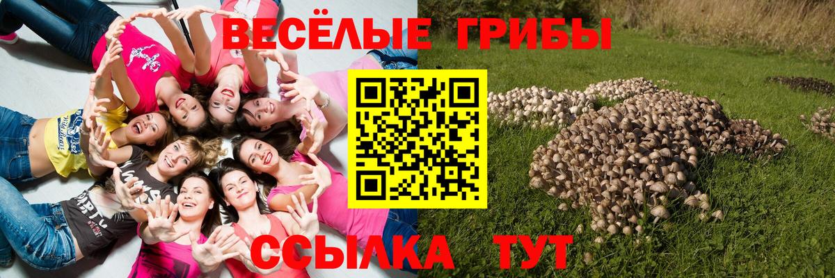 Галлюциногенные грибы ЛСД Грозный